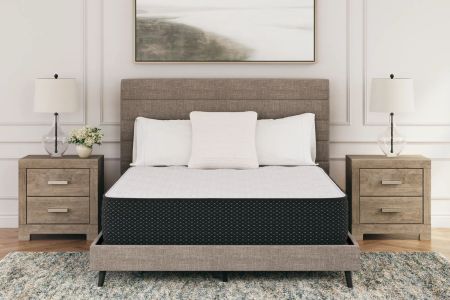 Limited Edition Plush Mattress Limited Edition Plush Mattress